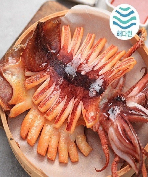 해를품은 반건조 오징어 왕특대 3미 (570~660g)